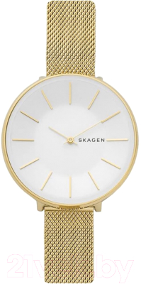 Часы наручные женские Skagen SKW1104
