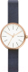 Часы наручные женские Skagen SKW2592 - 