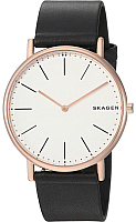 Часы наручные мужские Skagen SKW6430 - 