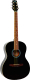 Акустическая гитара Aris FL-39 BK - 