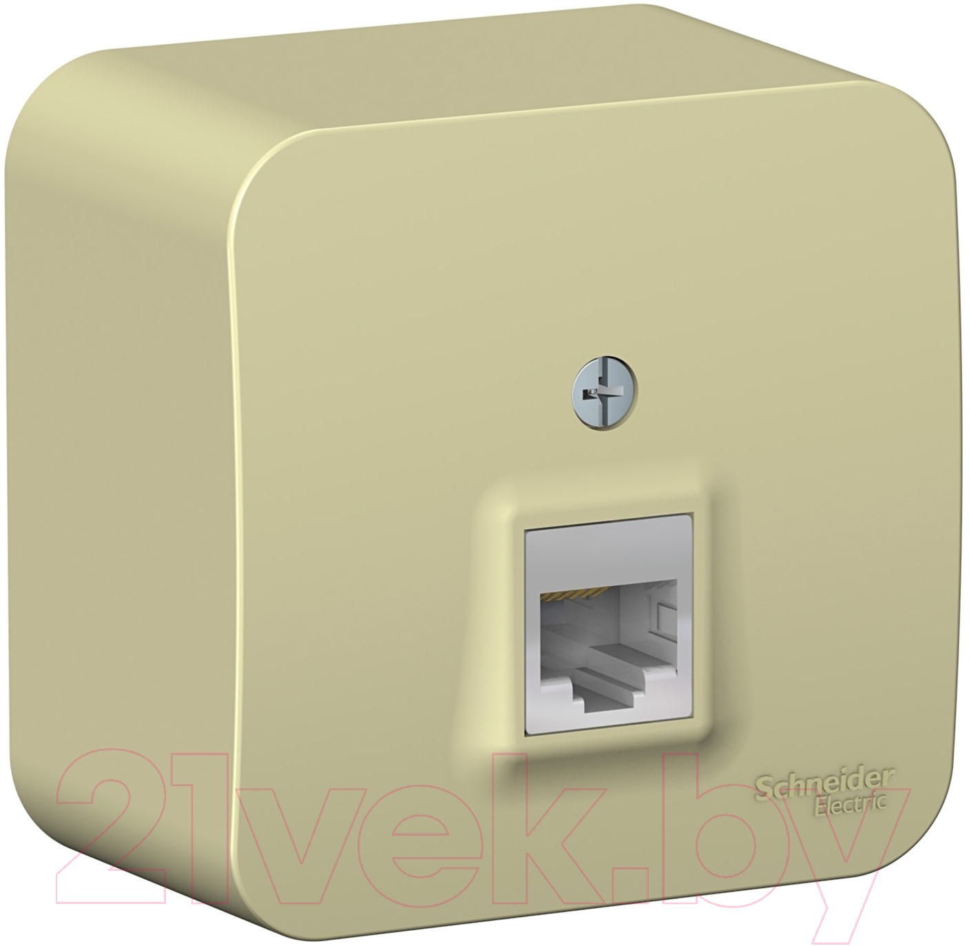 Розетка Systeme (Schneider) Electric Blanca BLNIA045007 — фото 1