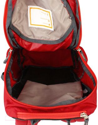 Детский рюкзак Deuter Gogo XS / 3611017-5553 (Cranberry/Coral)
