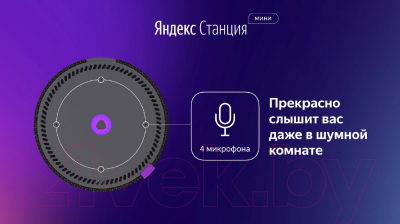 Умная колонка Яндекс Станция Мини YNDX-0004B (черный)