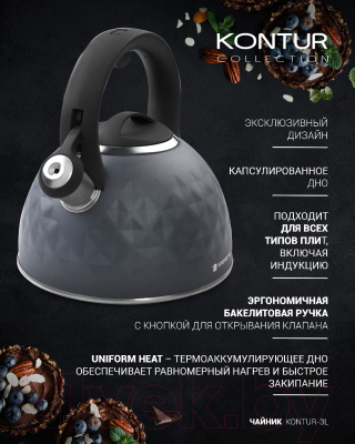 Чайник со свистком Polaris Kontur-3L