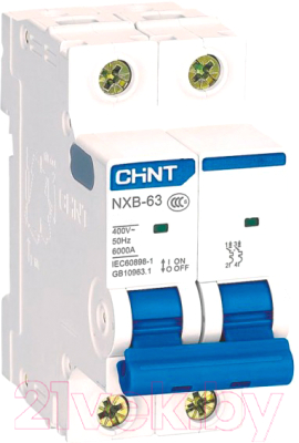 

Выключатель автоматический Chint, NXB-63 2P 6A 6кА C / 814090