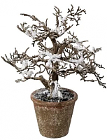 Искусственное растение Gasper 1119500-44 (коричневый/заснеженный) - 