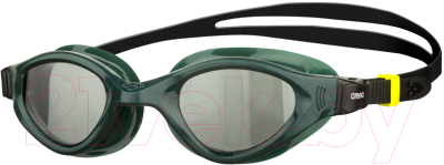 Очки для плавания ARENA Cruiser Evo / 002509565 (зеленый)