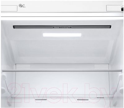 Lg Doorcooling Ga B509cvqz Holodilnik S Morozilnikom Kupit V Minske Gomele Vitebske Mogileve Breste Grodno