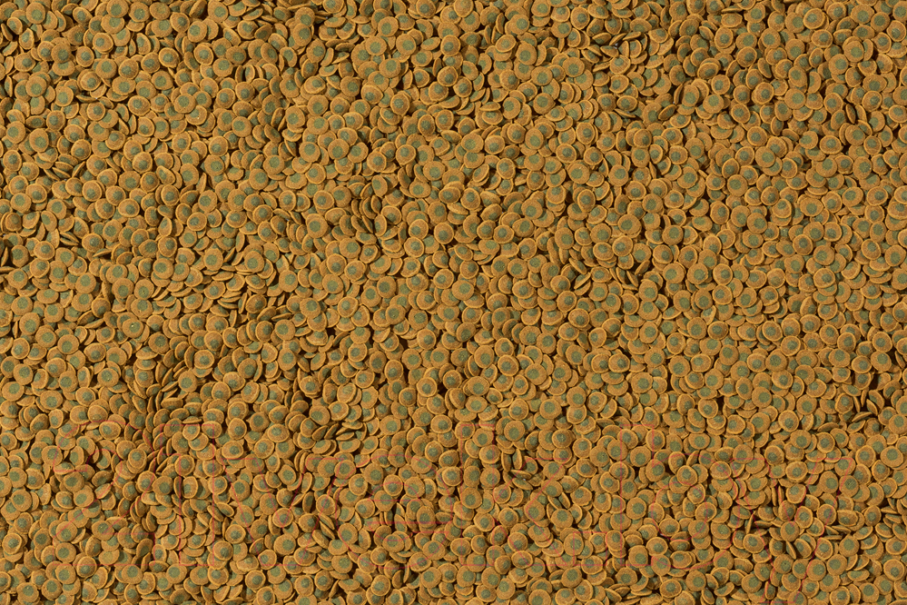 Корм для рыб Tetra Pleco Wafers (15г) — фото 2