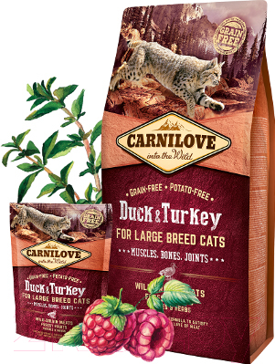 Сухой корм для кошек Carnilove Duck & Turkey for Large Breed Cats / 512751 (6кг)