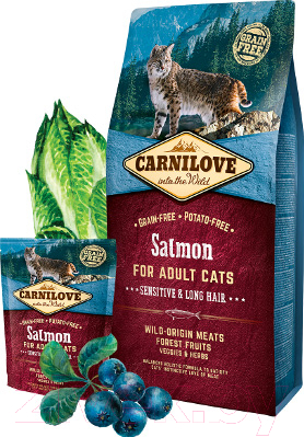 Сухой корм для кошек Carnilove Salmon for Adult Cats Sensitive & Long Hair / 512270 (6кг)