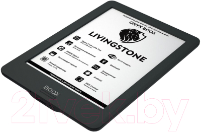 Электронная книга Onyx Boox Livingstone (черный)