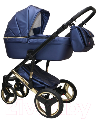 

Детская универсальная коляска Ray, Victoria Gold 2 в 1