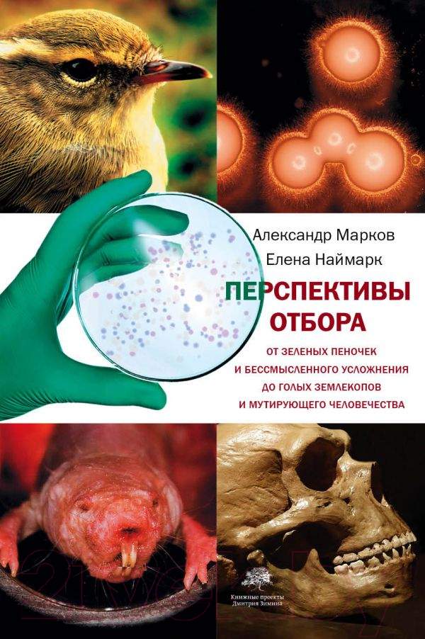 Книга АСТ Перспективы отбора (Марков А., Наймарк Е.)