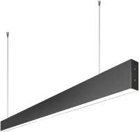 Потолочный светильник Elektrostandard 101-200-30-53 10W 4200K (черная шагрень) - 