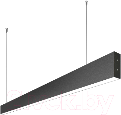 Потолочный светильник Elektrostandard 101-200-30-53 10W 4200K (черная шагрень)