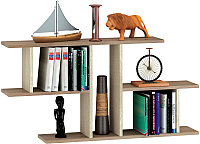 

Полка Тэкс, ПН-4