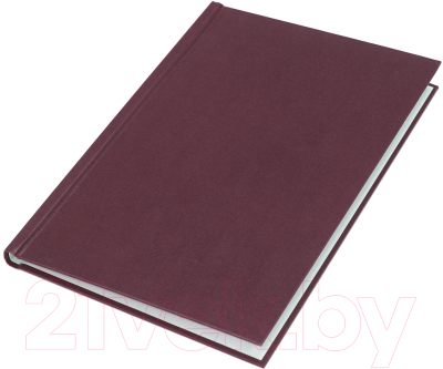 Изображение товара Обложки для переплета OPUS C.BIND Classic 304х212 C 16мм / X1HPCBOR10 (10шт, бордовый)
