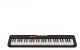 Миниатюра изображения товара Синтезатор Casio CT-S100