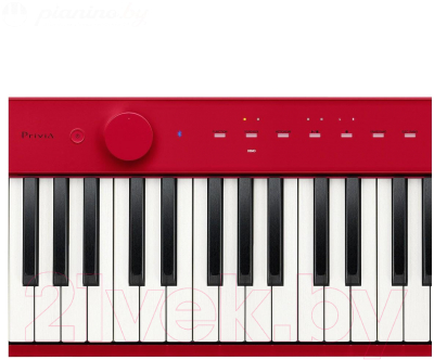 Цифровое фортепиано Casio PX-S1000RD