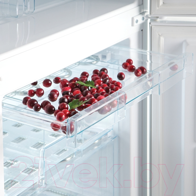Холодильник с морозильником Snaige RF27SM-P100220