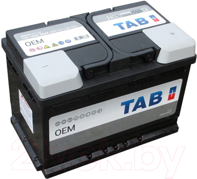 Автомобильный аккумулятор TAB OEM 75 R / 299075 (75 А/ч)