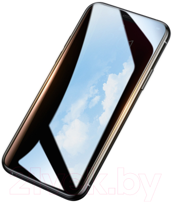 Защитная пленка для телефона Baseus Privacy Tempered Glass Film для iPhone 11 Pro X/XS (черный)