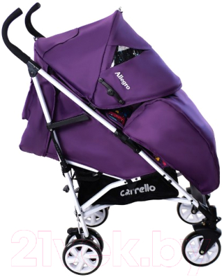 Детская прогулочная коляска Carrello Allegro CRL-10101/1 (kitty purple)