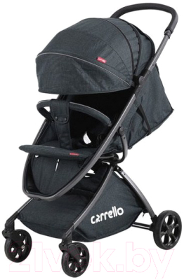 Детская прогулочная коляска Carrello Magia / CRL-10401 (Stone Grey)