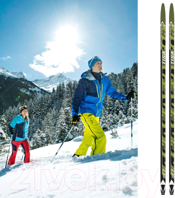 Лыжи беговые Tisa Adventure Step / N92119 (р.205)