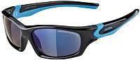 Очки солнцезащитные Alpina Sports Flexxy Teen CMB / A84963-31 (черный/голубой) - 