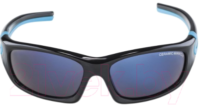 Очки солнцезащитные Alpina Sports Flexxy Teen CMB / A84963-31 (черный/голубой)
