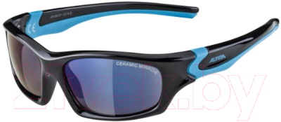 Очки солнцезащитные Alpina Sports Flexxy Teen CMB / A84963-31 (черный/голубой)