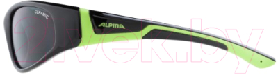 Очки солнцезащитные Alpina Sports Flexxy Junior / A8467-31 (черный/серый)