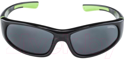 Очки солнцезащитные Alpina Sports Flexxy Junior / A8467-31 (черный/серый)