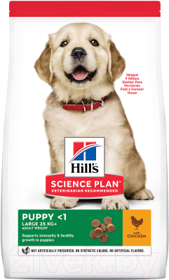 Сухой корм для собак Hill's Science Plan Puppy Large Breed Chicken / 604305 (12кг)