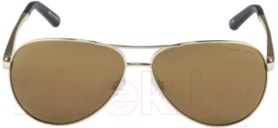 Очки солнцезащитные Alpina Sports A 107 CMGO / A85173-01 (золото)