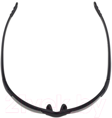 Очки солнцезащитные Alpina Sports Jalix CM / A85603-31 (черный)