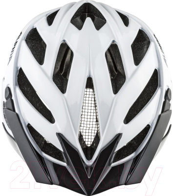 Защитный шлем Alpina Sports Panoma Classic / A97031-10 (р-р 52-57, белый)