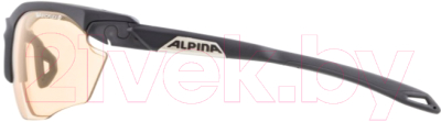 Очки солнцезащитные Alpina Sports Twist Five HR VLO+ / A85921-35 (черный)