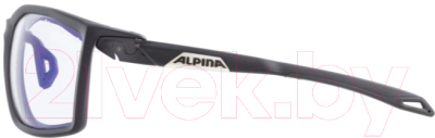 Очки солнцезащитные Alpina Sports Twist Five VLMB+ / A85952-31 (черный)