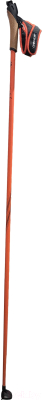 Палки для беговых лыж Bjorn Daehlie 2018-19 Symbol Jr (р.137.5, оранжевый)