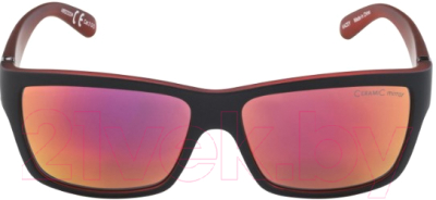 Очки солнцезащитные Alpina Sports Kacey / A85233-34 (черный/красный)