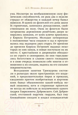 Книга Издательство Мещерякова Дубровский (Пушкин А.)