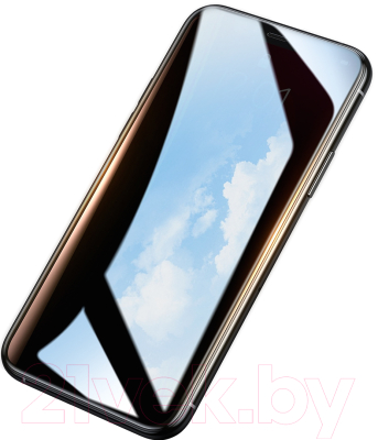 Защитная пленка для телефона Baseus Privacy Tempered Glass Film для iPhone 11 Pro Max / XS Max (черный)