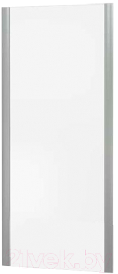 Душевая стенка Good Door Neo ASP-100-C-CH