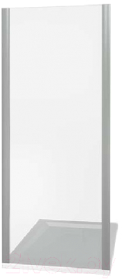 Душевая стенка Good Door Neo ASP-100-C-CH