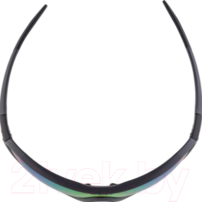 Очки солнцезащитные Alpina Sports S-Way VLMRB+ / A85852-29 (угольный/черный)