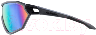 Очки солнцезащитные Alpina Sports S-Way VLMRB+ / A85852-29 (угольный/черный)