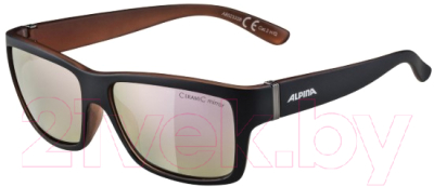 Очки солнцезащитные Alpina Sports Kacey CMRG / A85233-38 (черный/медный)